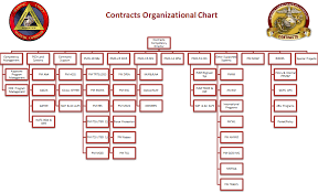 14 reasonable peo organization chart