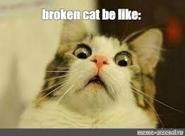 Meme Broken Cat Be Like All Templates Meme Arsenal Com