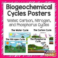 Biogeochemical Cycles Poster Pack Science Poster Secondary Science Classroom Cycle