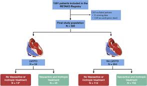 Image result for Left Ventricular Outflow Obstruction
