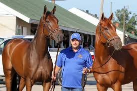 Get ready for kentucky derby day with our list of trivia questions like. Brad Cox Eyes History In Kentucky Derby 147