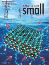 Small :