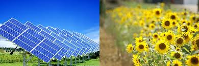 Resultado de imagen para matriz energética uruguay