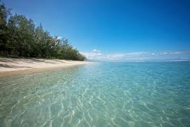 Google Reunion Island Cool Places To Visit Beach Landscape