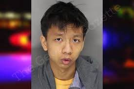 Tyler Vo — Cobb County Jail Bookings