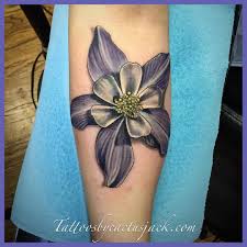 It is unlawful for any person to tear the state flower up by the roots when grown or growing upon any state, school, or other public lands or in any public highway or other public place or to pick or gather upon any such public lands or in any such. Castle Rock Tattoo And Laser Removal Co Colorado Grown On Halee Today Columbine Flower