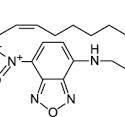 Fluorescent DOTAP | Gene Transfection Application Powder