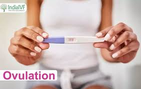 What is Ovulation? | Ovulation Induction Treatment | India IVF