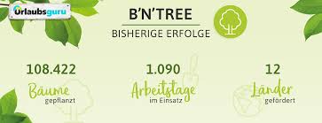 B N Tree Ihr Bucht Wir Pflanzen Baume Urlaubsguru
