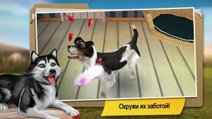 Download pethotel my animal boarding 1.0.19412 full apk + mod free for android mobiles, smart phones. Download Dog Hotel Premium Play With Cute Dogs Mod Money 2 1 10 Apk For Android