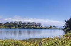 Lagoon Restoration Walking Tour