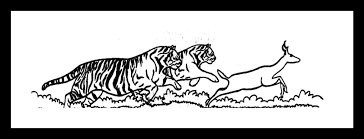 Tidak kiralah sama ada cerita2 seram, paranormal. Nurul Ashikin Interaksi Antara Haiwan Sains Tahun 6 Upsr