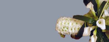 Maybe you would like to learn more about one of these? Miss Daisy Florist Florist Warrington Floral Displays