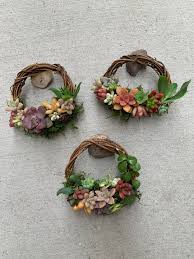 Mini Succulent Wreath