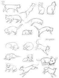 Image Result For Cat Poses For Drawing Dog Sketch Cats Illustration Cat Pose