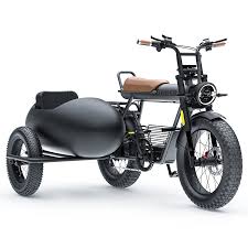 Image result for bicycle sidecar