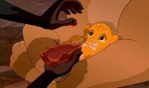 Pin By Cammy Tapia On Cutest Disney Babies Toddlers The Lion King 1994 Lion King Lion King Costume