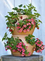 Fertilizers speed up the growth of plants, which can lead to a loss of essential oils that give herbs all their flavor. Grow Herbs In A Strawberry Planter Better Homes Gardens