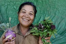 Graduate Farmer Archives