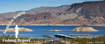 Nevada Department Of Wildlife