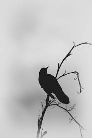 Bird On Branch Silhouette Tattoo Bird On A Branch Bird Silhouette Tattoos Black Bird Tattoo Bird Silhouette