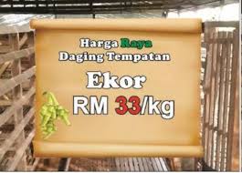 Maksud firman allah swt harga lembu korban mengikut saiz berat lembu. Senar Penternak Pembekal Kambing Lembu Serta Susu Asli Facebook