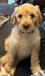 Oh my; what a sweet little girl, and smart