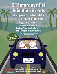 We specialize in education, kindergarten readiness, and provide a safe and secure place for your child to thrive. 2nd Saturdays Pet Adoption At Napletons Palm Beach Acura On Okeechobee Blvd Napleton Palm Beach Acura 10 July 2021