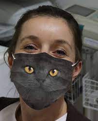 Funny Cat Face Mask