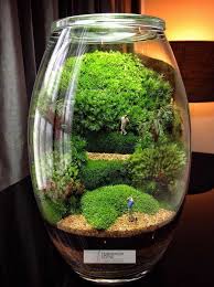 Mahmut Kirnik 138 Miniature Garden Succulent Terrarium Herb Labels