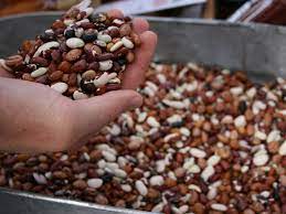 The time spent soaking and cooking dried beans is certainly not time wasted, as you'll end up with richly flavored, delicious beans that take on the taste of whichever herbs and ingredients you throw into the pot. How To Soak And Cook Dried Beans Whats4eats