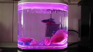 Xiaomi Hf Jhyg005 Geometry Mini Lazy Fish Tank Usb Charging Self Cleaning Aquarium Youtube