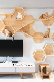 Cat tree plans in space? Myzoo Cat Furniture Cool Cat Tree Plans Cat Furniture Cat Room Cat Tree Plans