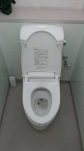 トイレの便器内に意外な物が！ – 香川県高松市の浄化槽・水まわり・害虫駆除のことなら 安心の四国設備へ