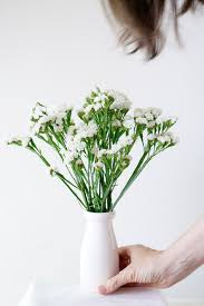 Maybe you would like to learn more about one of these? Being Vocal About Local Choosing Locally Grown Cut Flowers Floragraphica