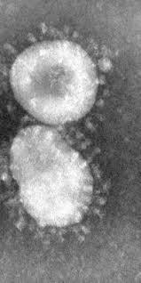 La gastroenteritis viral es una infección intestinal que se caracteriza por presentar diarrea líquida la forma más habitual de desarrollar gastroenteritis viral, generalmente llamada gripe estomacal, es a. When Is Vomiting In Pregnancy