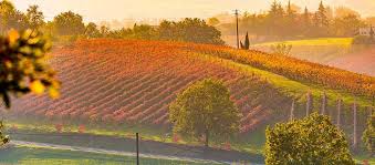 Ravenne est la ville la plus grande de la romagne et la plus importante du point de vue historique. Agritourismes En Emilie Romagne Vacances Rurales En Agritourisme Emilie Romagne Italie