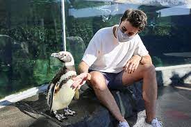 People can keep alligators and snakes. Animal Encounter Penguin Education Aquarium Of The Pacific