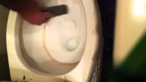 It is a more complicated decision on deciding how often to clean your bathroom; How To Remove A Toilet Bowl Ring Youtube