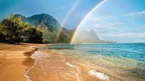 Fundraiser by Kelly Lower : Trey's Make a Wish Trip to Hawaii