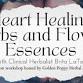 Heart Healing Herbs and Flower Essences with Brita LaTona