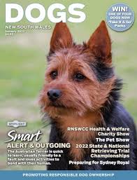 DOGS NSW January 2023 Magazine by dogsnsw
