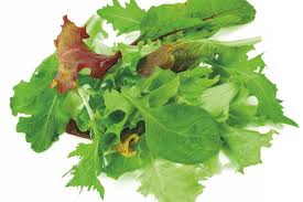 Verwende entweder saatschalen oder anzuchttöpfe.wenn die keimlinge gewachsen sind, vereinzelst du sie vor dem umzug ins freie. Nutzgarten Der Richtige Salat Fur Jede Jahreszeit Frauenland