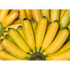 Just visit banana cavendish page. Cavendish Banana Origin Philippines Per Bunch Shopee Malaysia