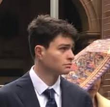 Balgowlah man pleads guilty to running down roos