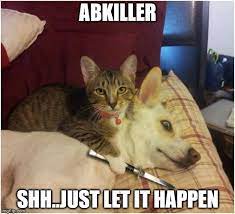 Warning Killer Cat Imgflip