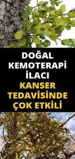 Gul Akman Adli Kullanicinin Yemekler Panosundaki Pin Saglikli Yasam Tarzi Saglik Urunleri Saglik
