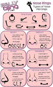 Pin By Loki Ragnarok On Different Types Of Piercings Nose Piercing Piercing Piercing Chart