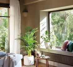 Hay diferentes estilos de plantas que puedes añadir a la decoración de tu sala, recuerda que son un complemento y no satures tus espacios con plantas de todo tipo, la clave esta en encontrar el quilibrio basandote en alguna de nuestras ideas. Como Decorar Con Plantas