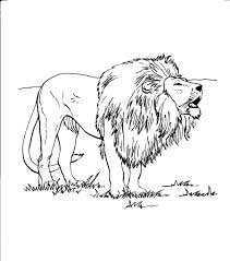 Although the lion is not the largest, fastest or most lethal animal, its position as king of beasts has rarely been challenged. Free Printable Lion Coloring Pages For Kids